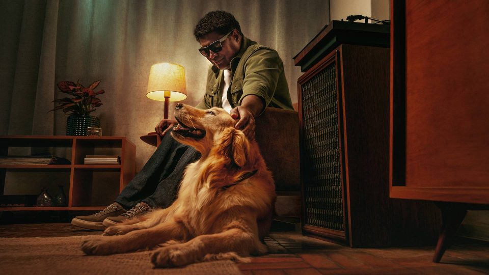 Cão Guia